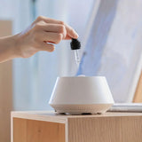 Designer Ultrasonic Aromatherapy Humidifier - Tremmi